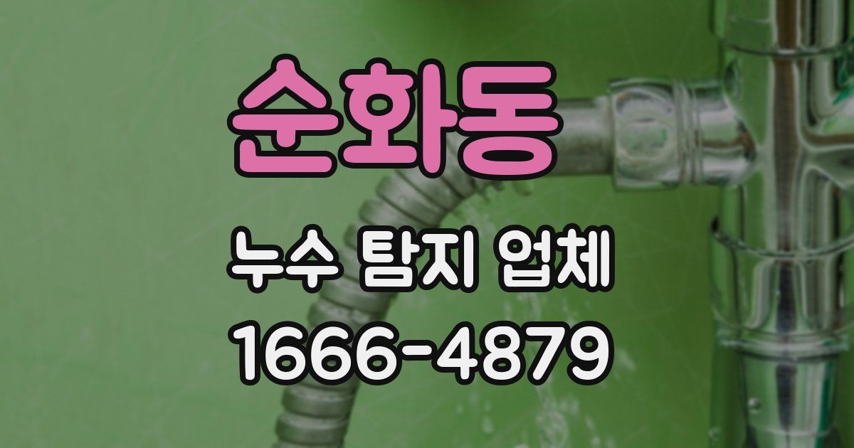 순화동 누수 탐지 업체