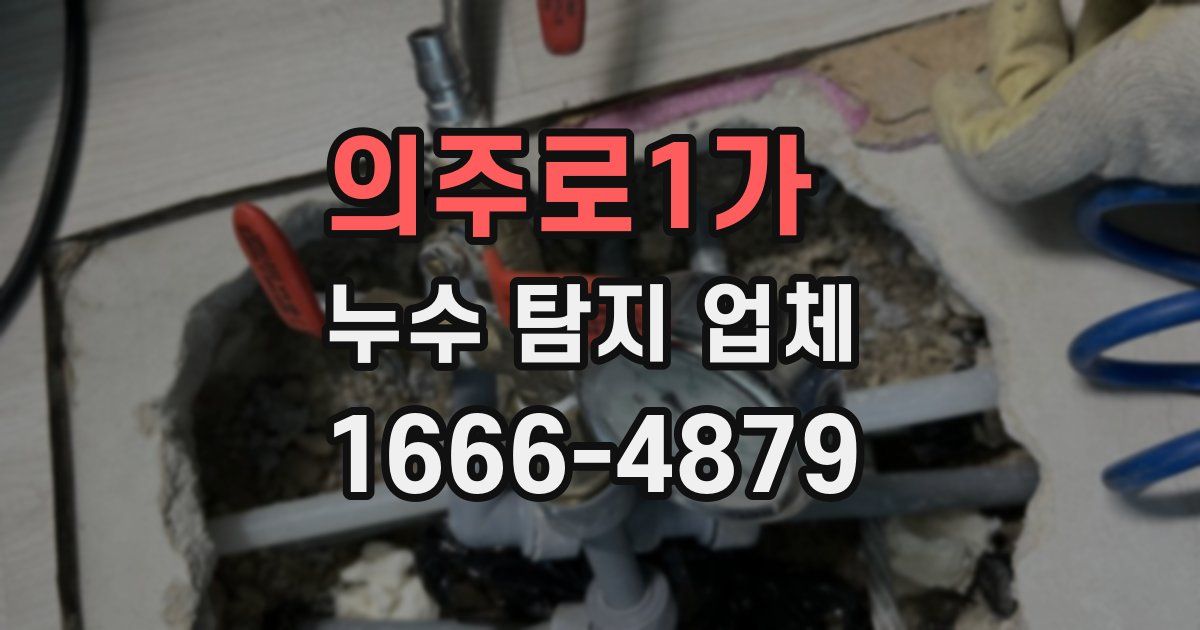 의주로1가 누수 탐지 업체