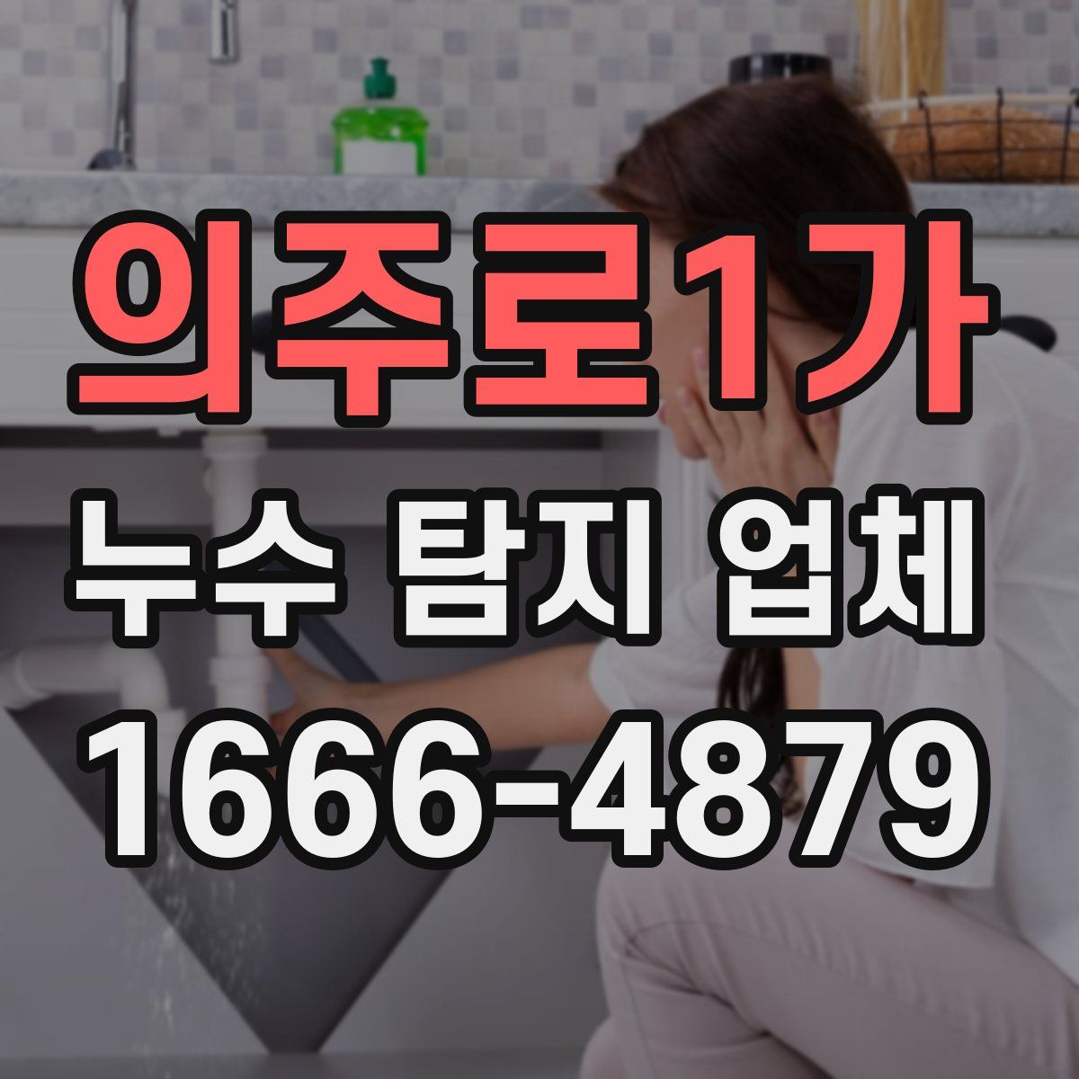 의주로1가 누수 탐지 업체