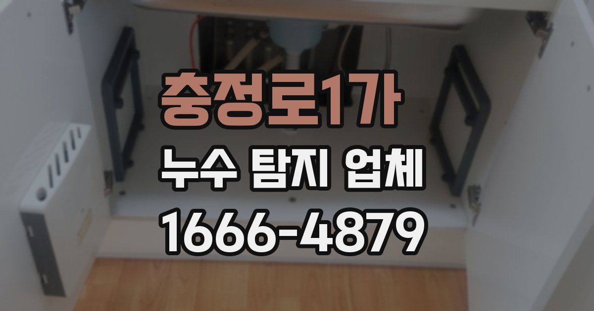 충정로1가 누수 탐지 업체