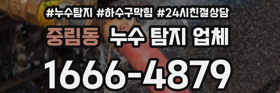 중림동 누수 탐지 업체