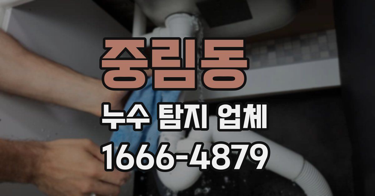 중림동 누수 탐지 업체