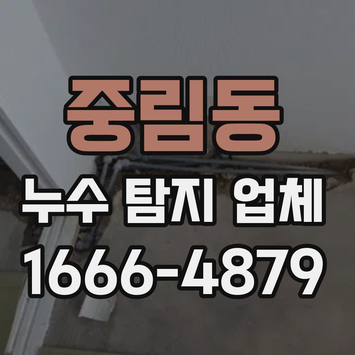 중림동 누수 탐지 업체