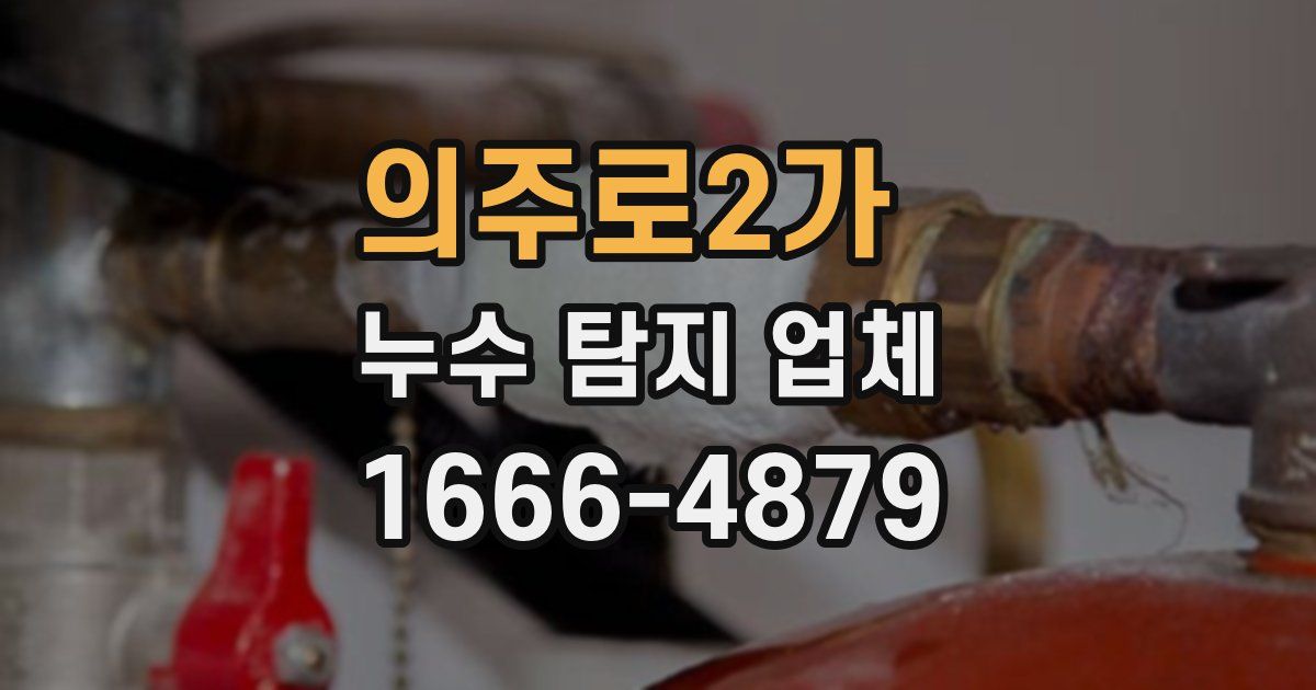 의주로2가 누수 탐지 업체
