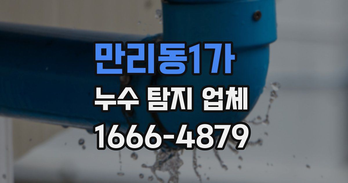 만리동1가 누수 탐지 업체