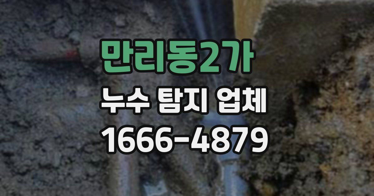 만리동2가 누수 탐지 업체