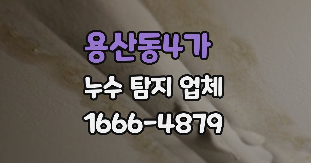 용산동4가 누수 탐지 업체