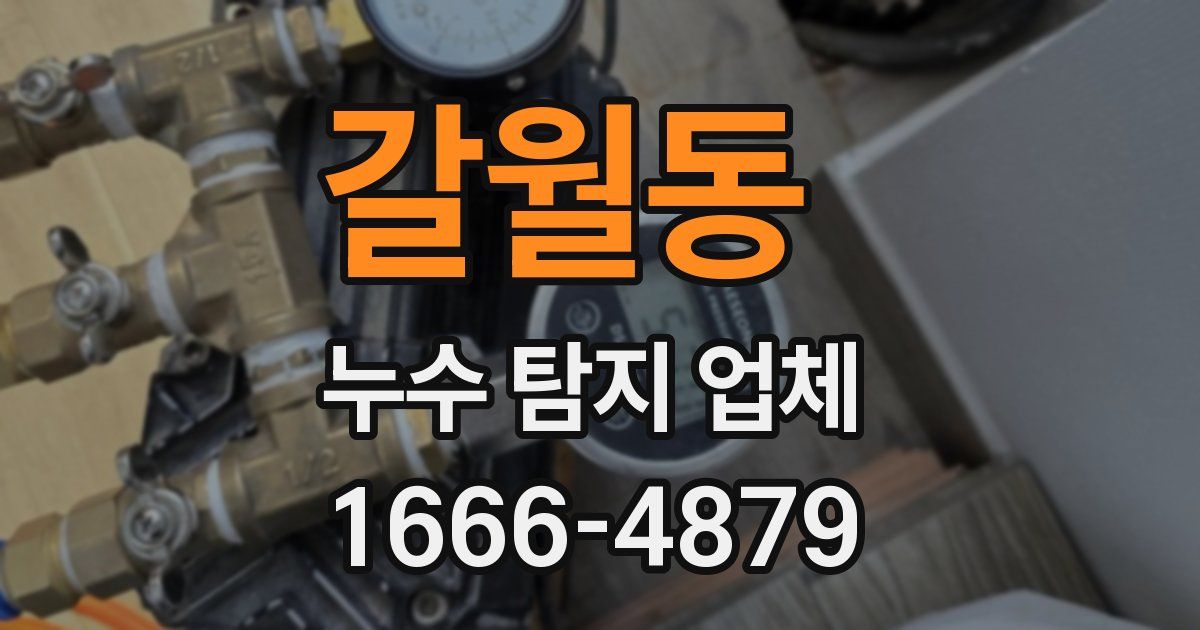 갈월동 누수 탐지 업체