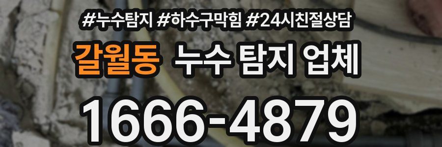 갈월동 누수 탐지 업체