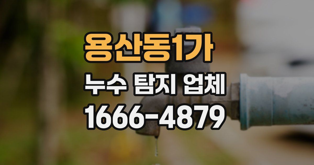 용산동1가 누수 탐지 업체