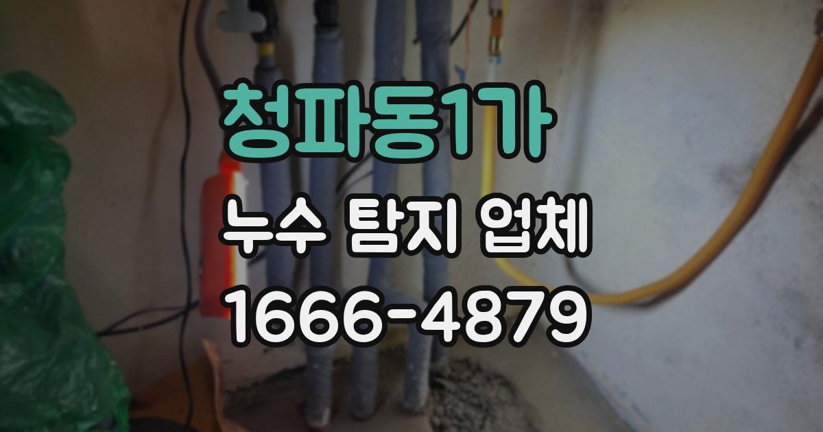 청파동1가 누수 탐지 업체