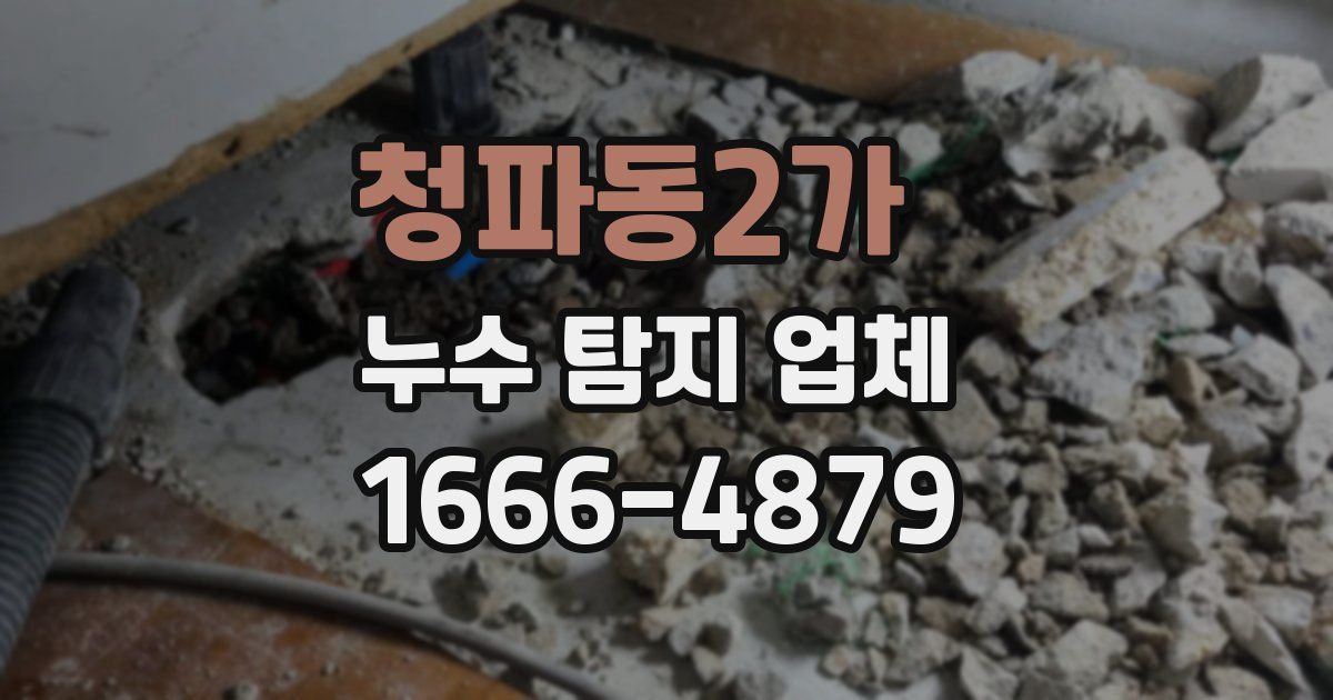 청파동2가 누수 탐지 업체