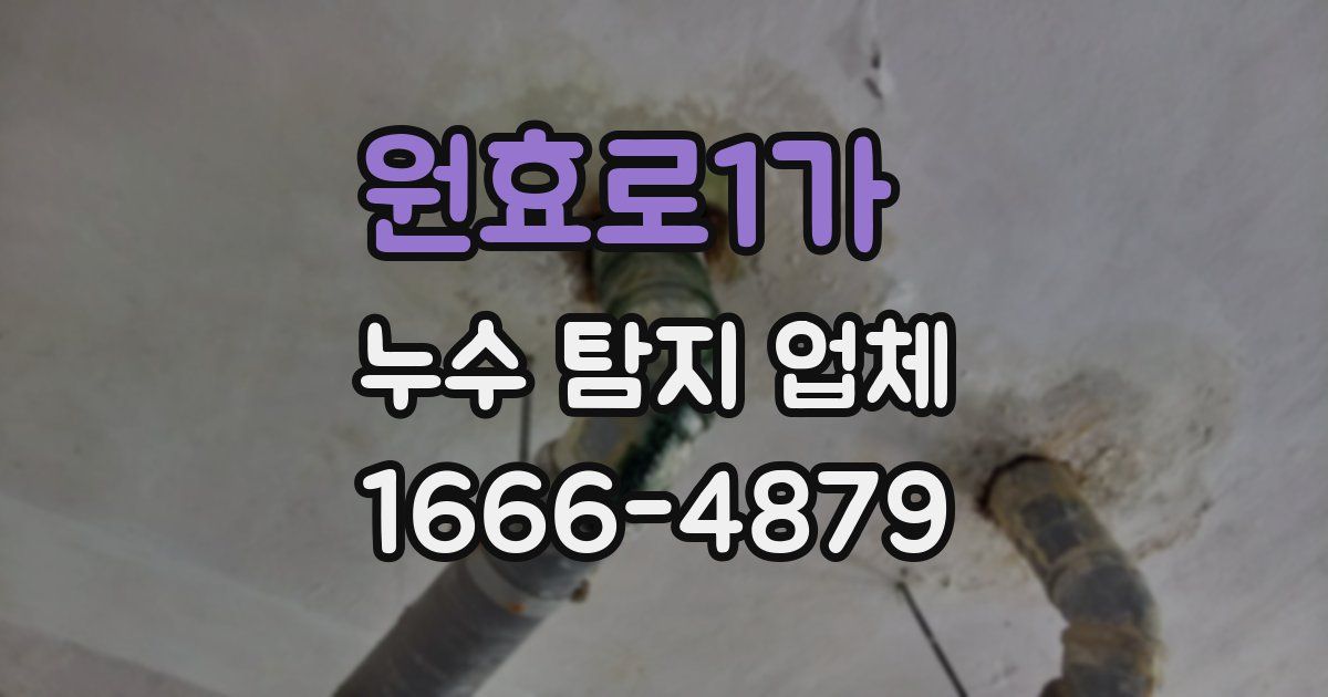 원효로1가 누수 탐지 업체