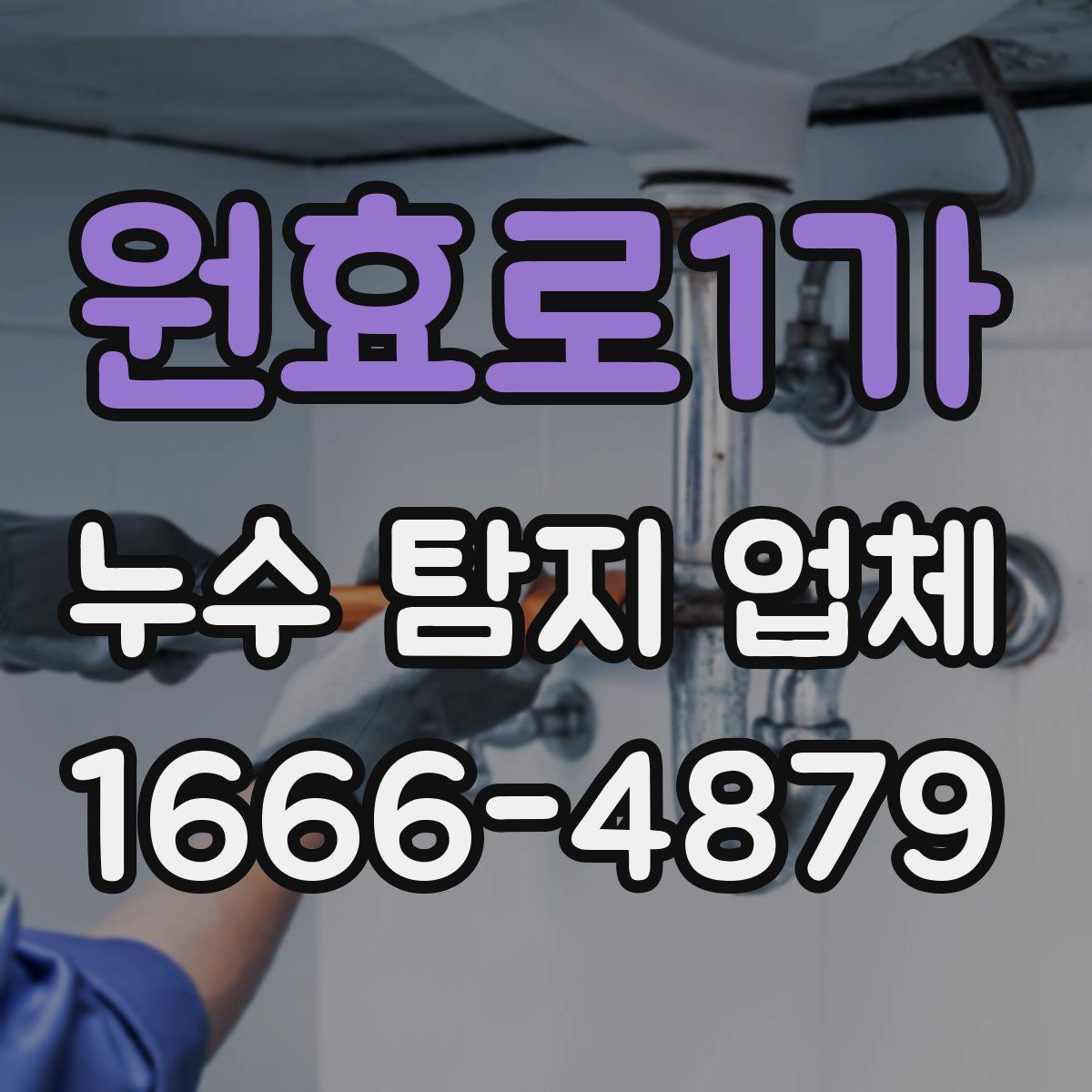 원효로1가 누수 탐지 업체