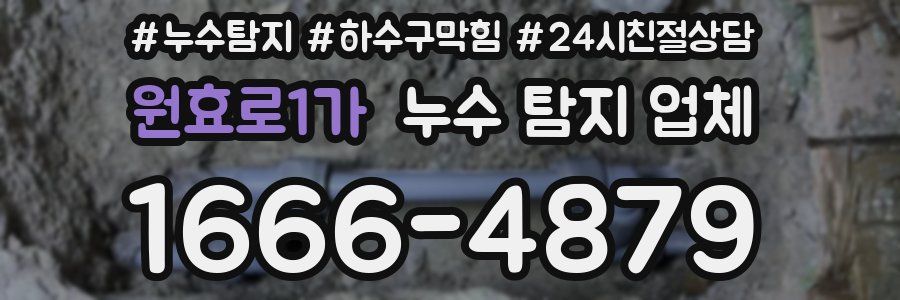 원효로1가 누수 탐지 업체