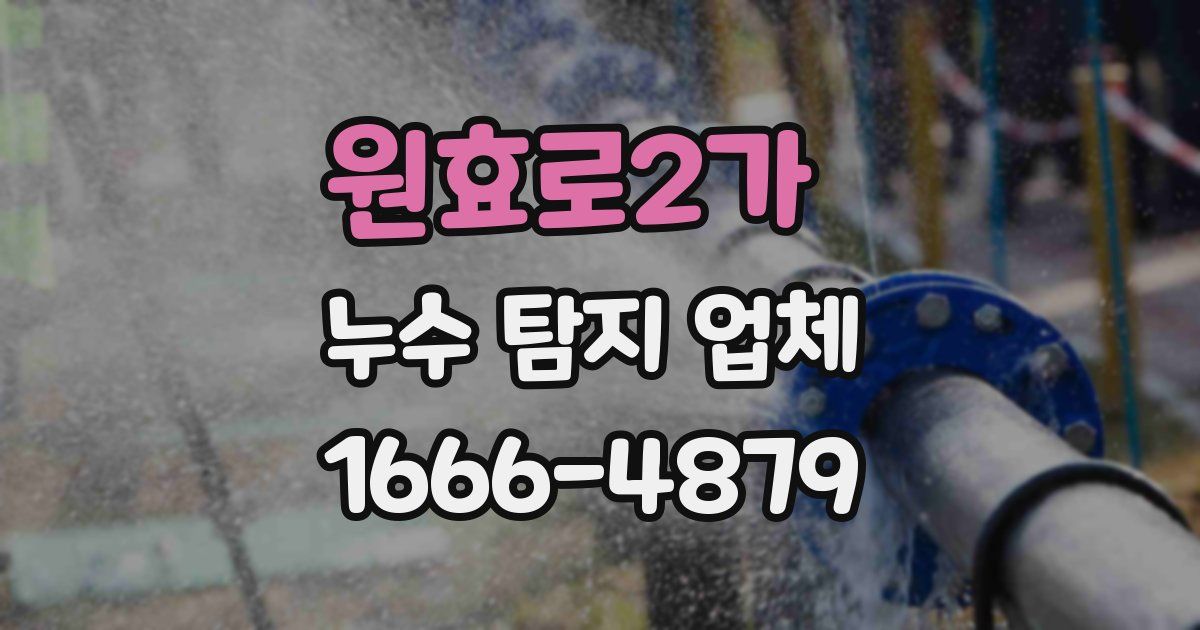 원효로2가 누수 탐지 업체