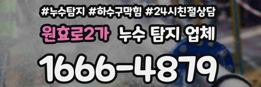 원효로2가 누수 탐지 업체