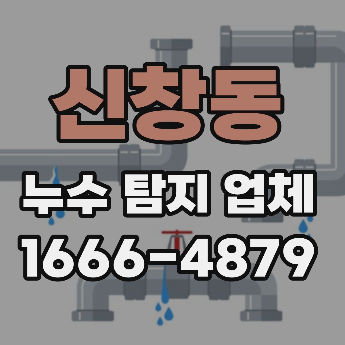 신창동 누수 탐지 업체
