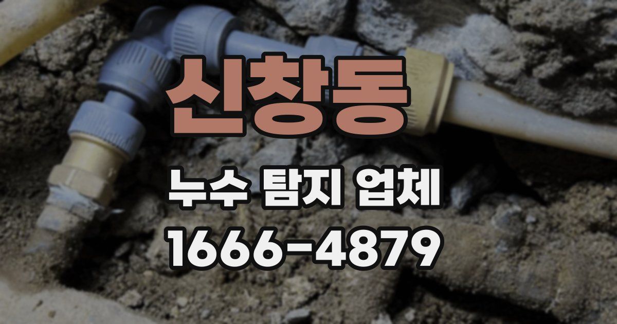 신창동 누수 탐지 업체