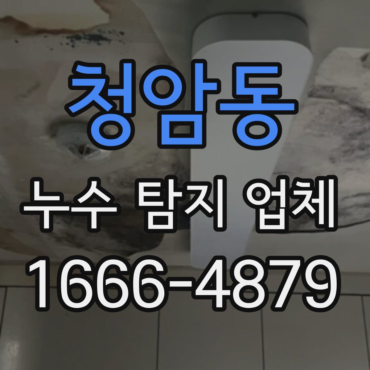 청암동 누수 탐지 업체