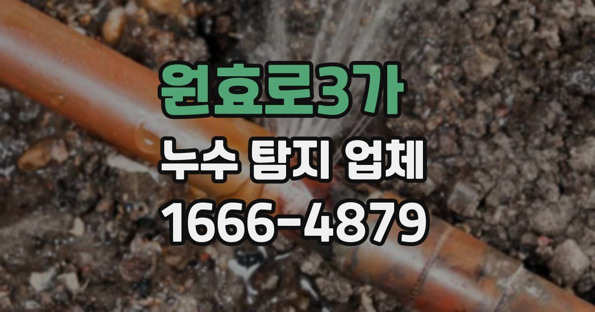 원효로3가 누수 탐지 업체