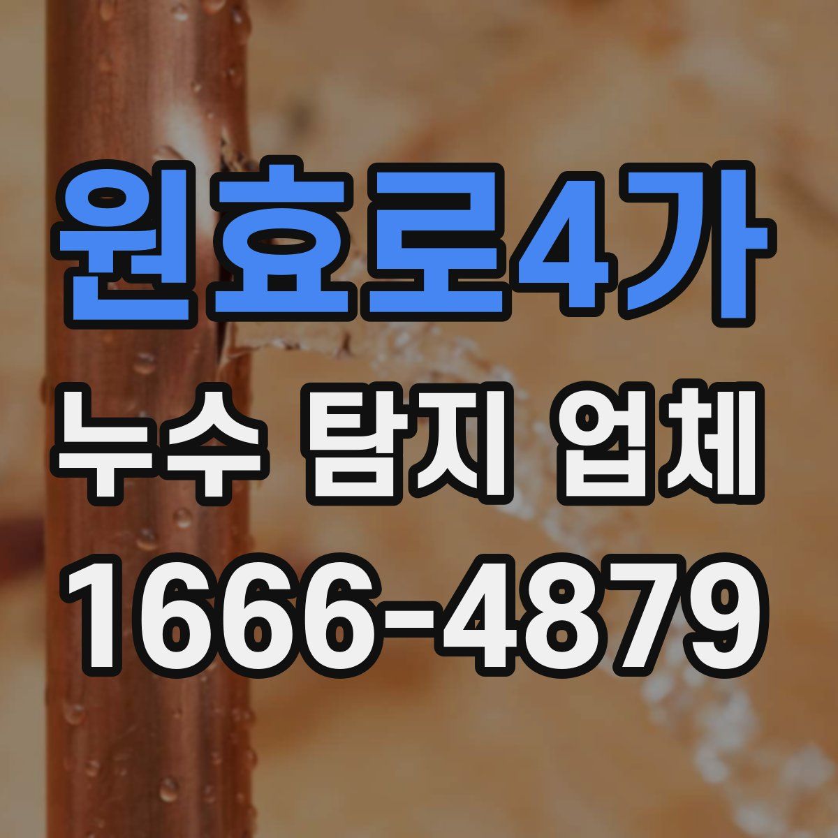 원효로4가 누수 탐지 업체