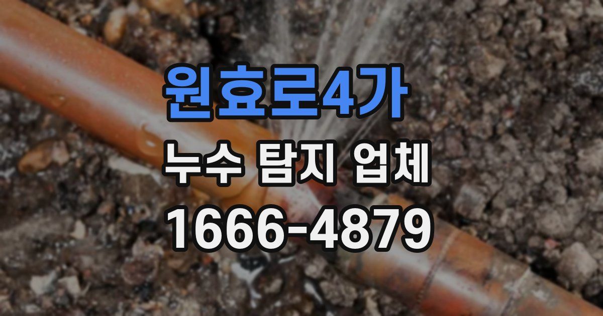 원효로4가 누수 탐지 업체