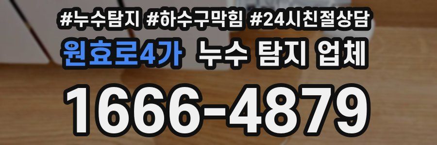 원효로4가 누수 탐지 업체