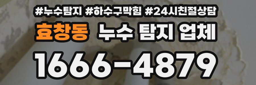 효창동 누수 탐지 업체