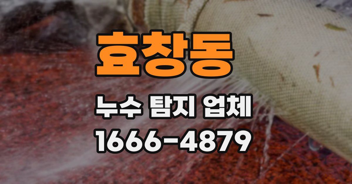 효창동 누수 탐지 업체