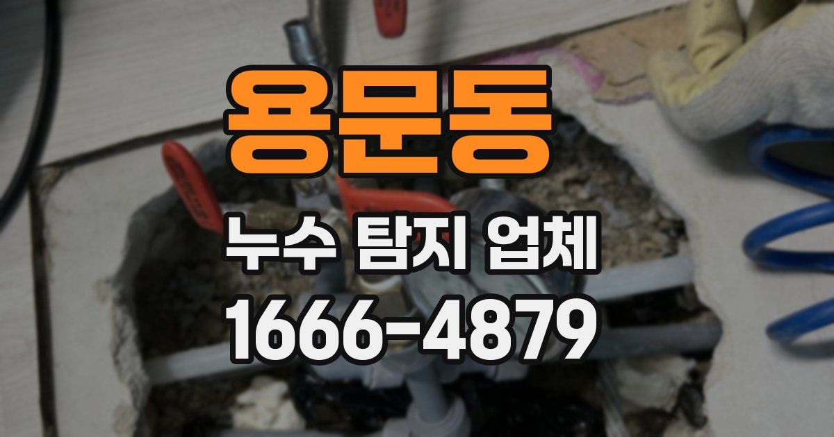 용문동 누수 탐지 업체