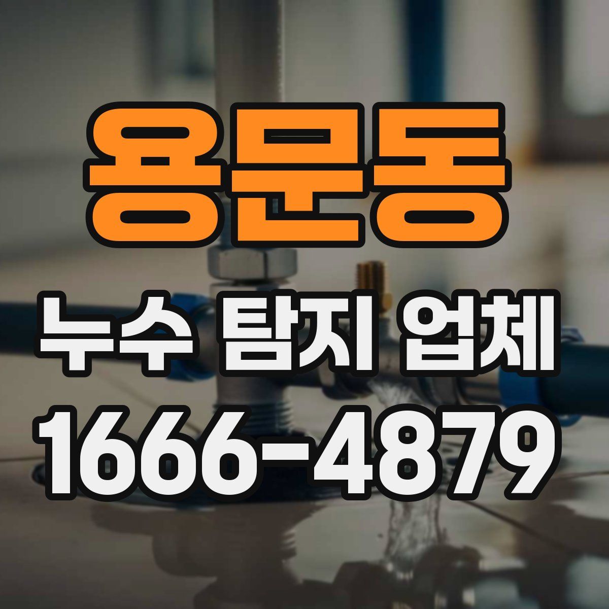 용문동 누수 탐지 업체