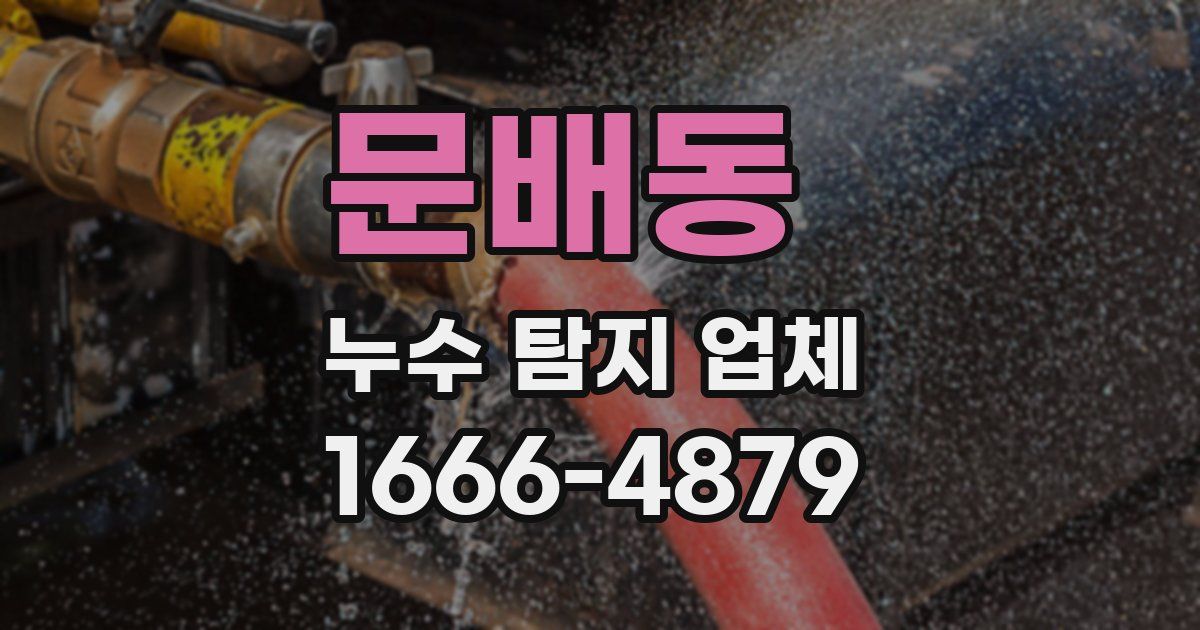 문배동 누수 탐지 업체