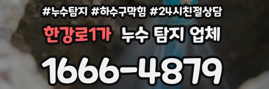 한강로1가 누수 탐지 업체