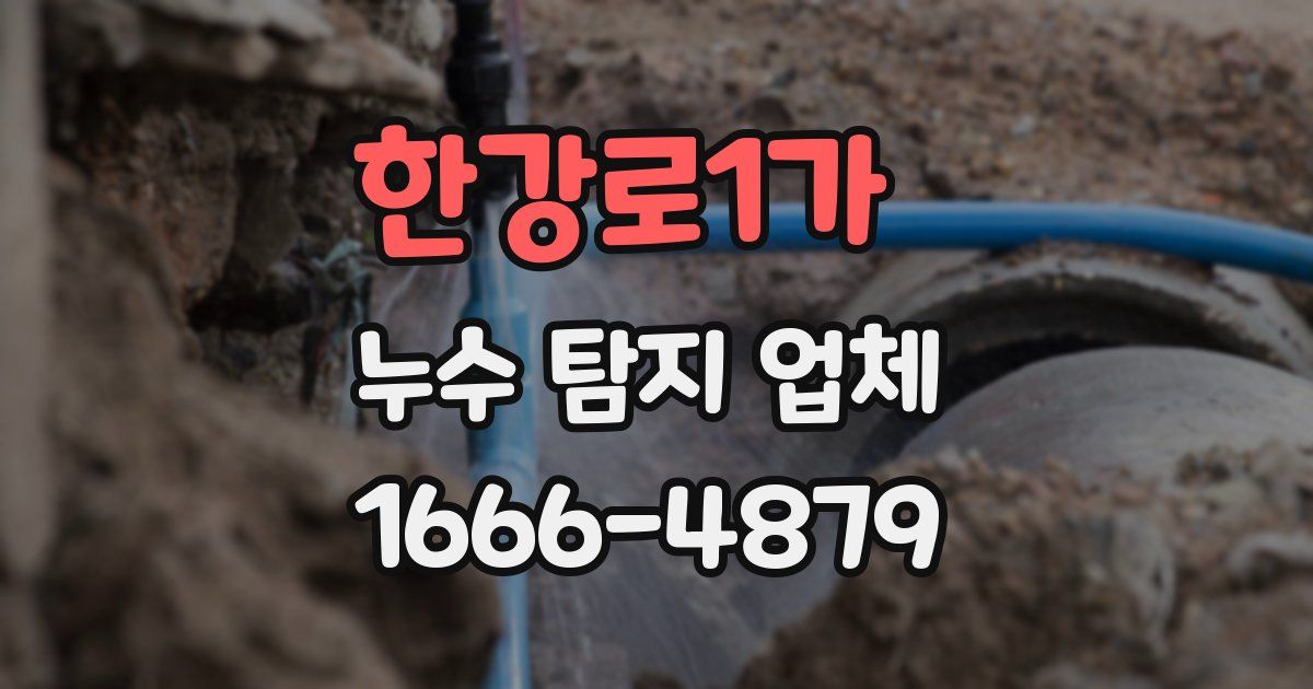 한강로1가 누수 탐지 업체