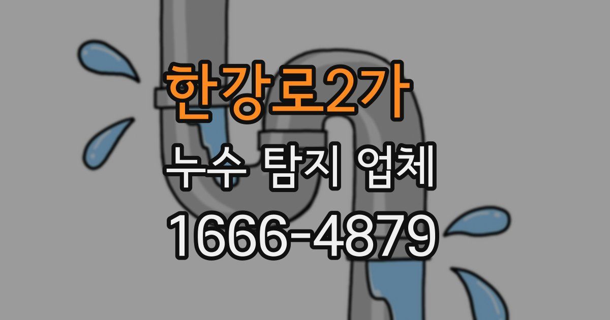 한강로2가 누수 탐지 업체