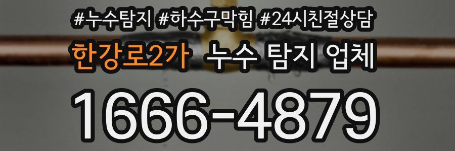 한강로2가 누수 탐지 업체