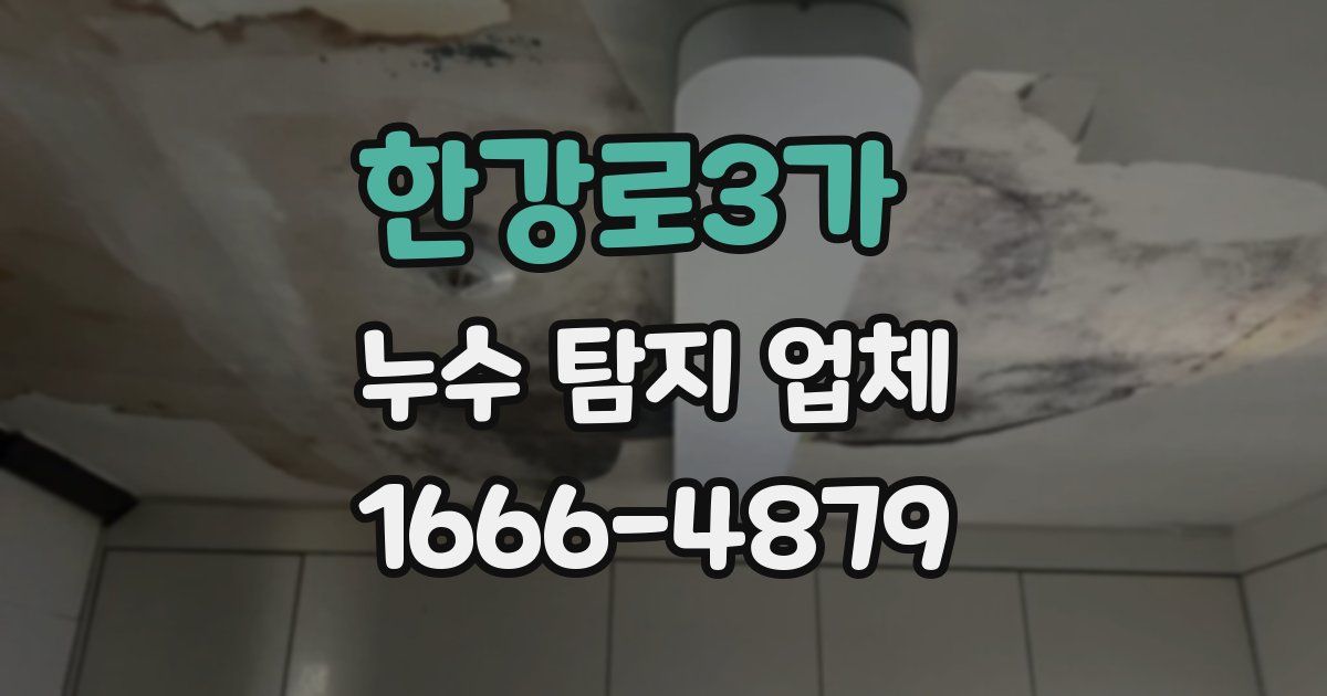 한강로3가 누수 탐지 업체