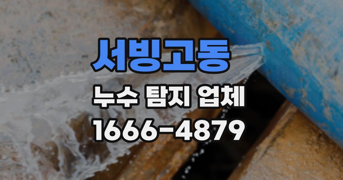 서빙고동 누수 탐지 업체