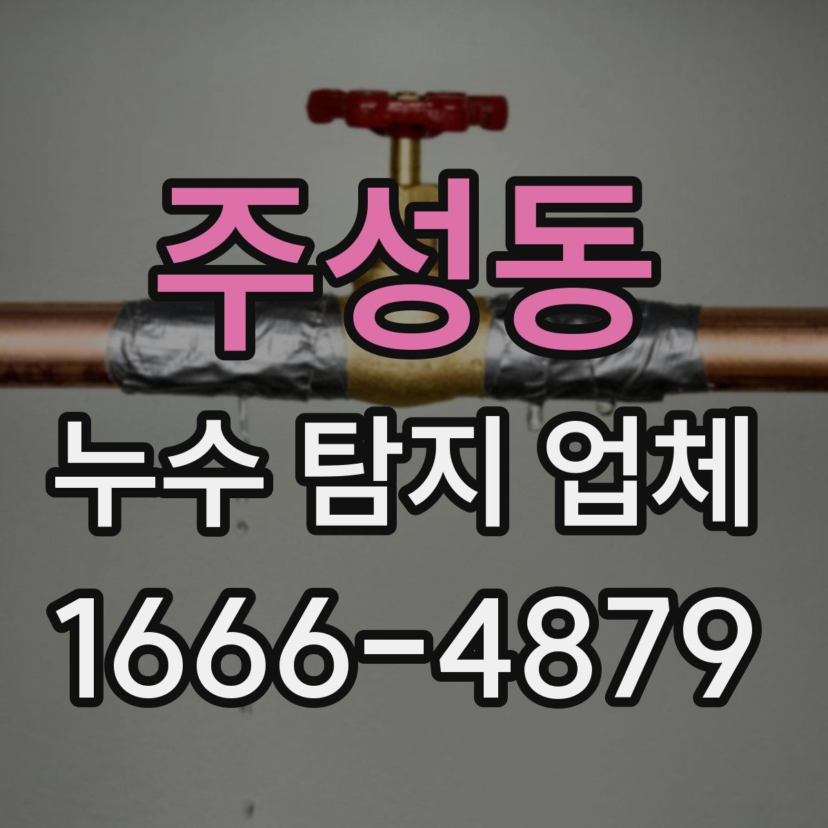 주성동 누수 탐지 업체