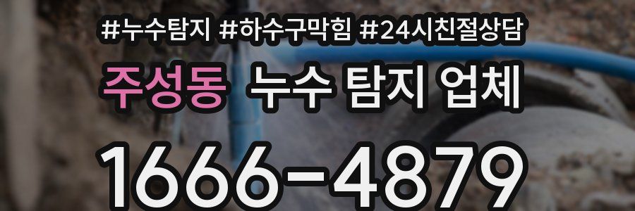 주성동 누수 탐지 업체