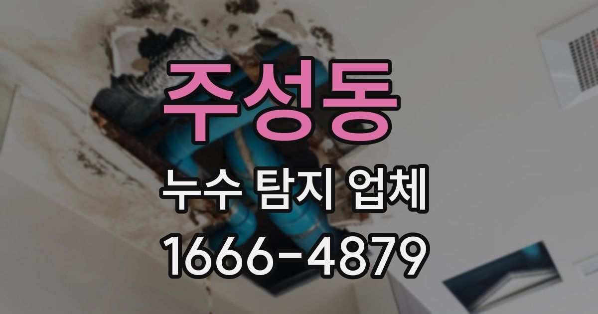 주성동 누수 탐지 업체