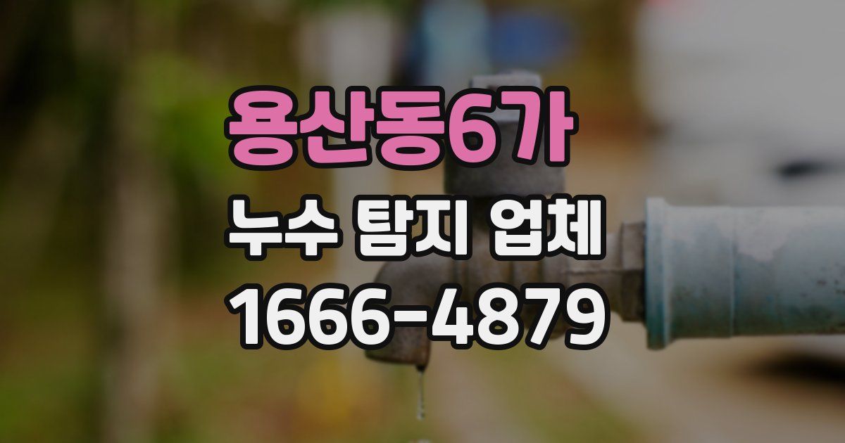 용산동6가 누수 탐지 업체