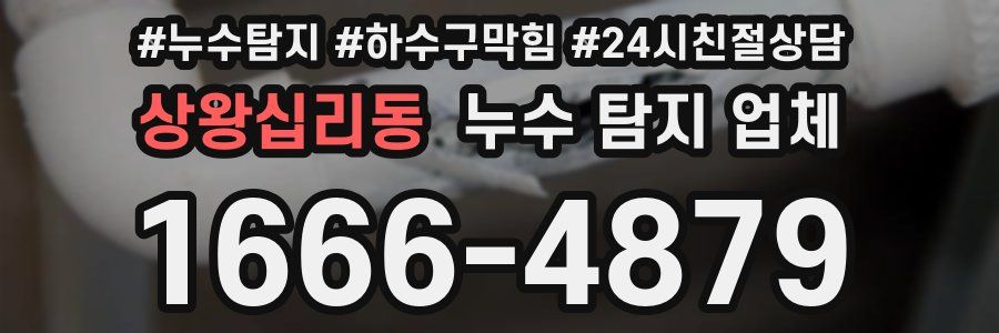 상왕십리동 누수 탐지 업체