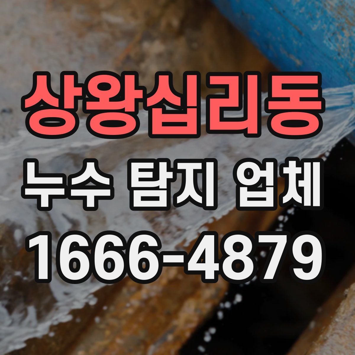 상왕십리동 누수 탐지 업체