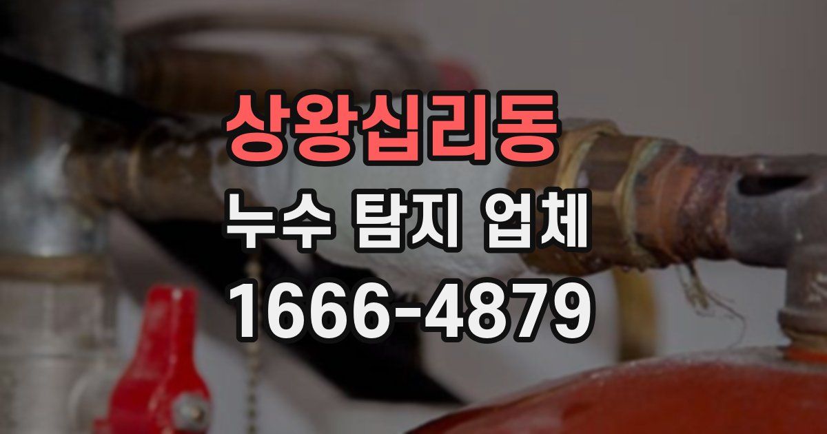 상왕십리동 누수 탐지 업체