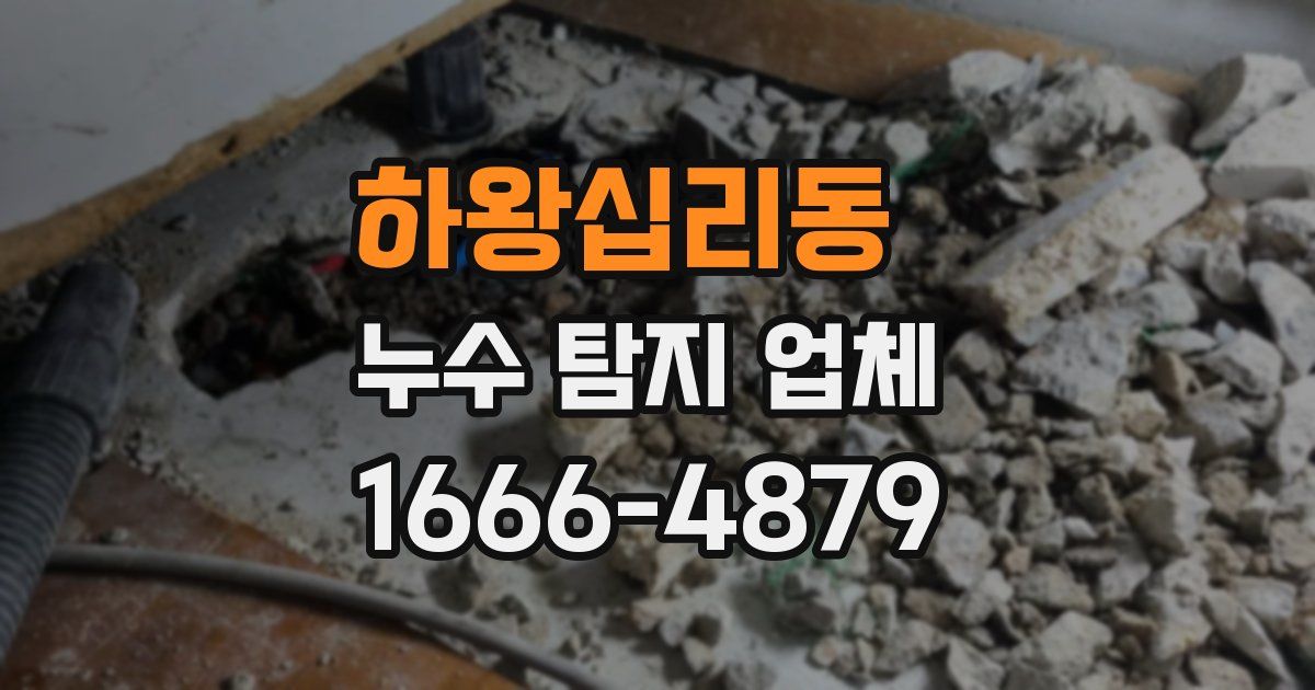 하왕십리동 누수 탐지 업체
