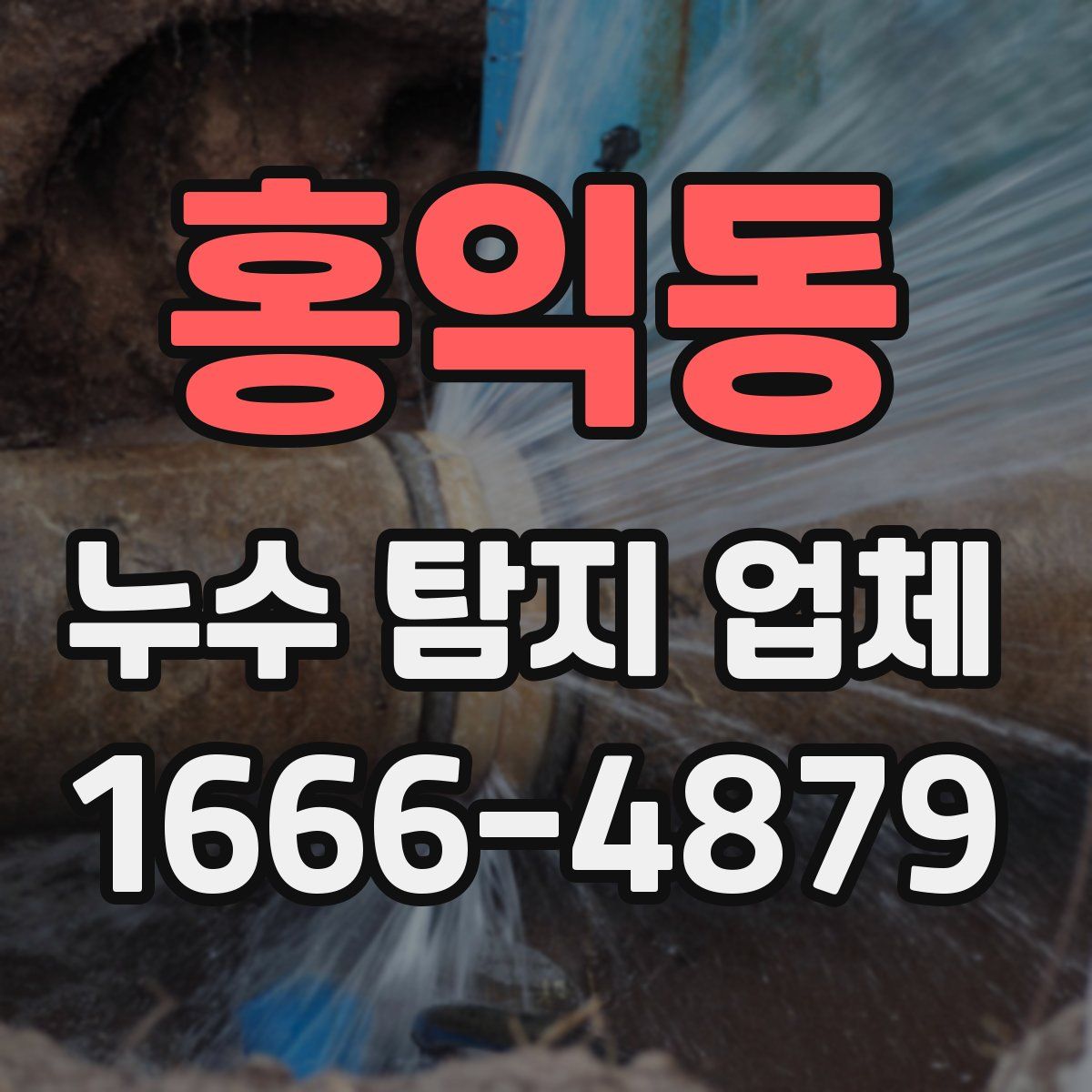 홍익동 누수 탐지 업체