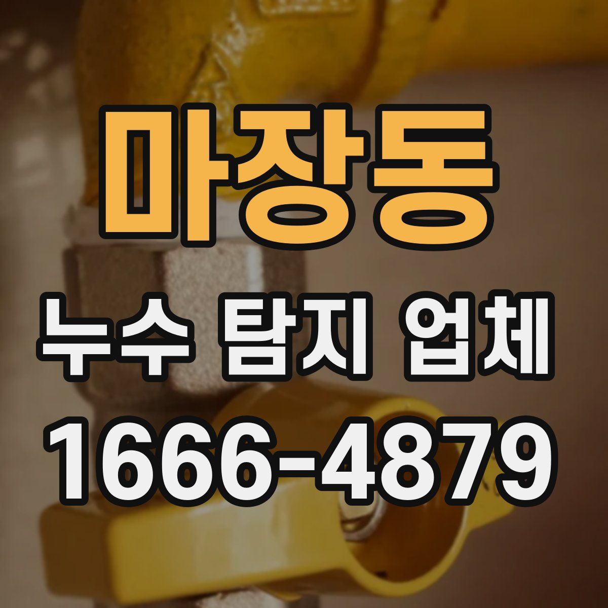 마장동 누수 탐지 업체