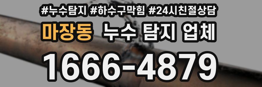 마장동 누수 탐지 업체